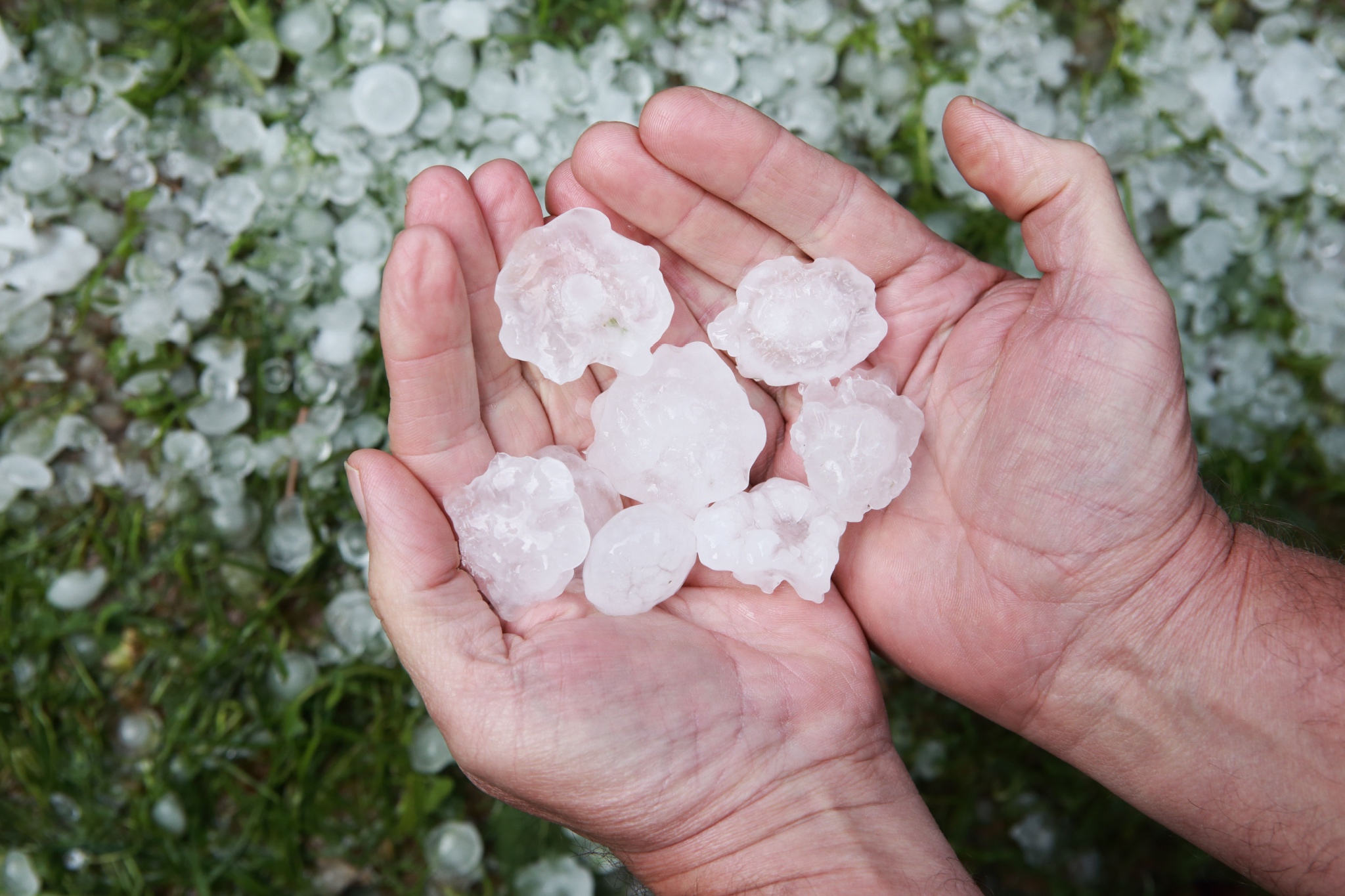 Alberta Thunderstorm Warning: Large Hail Wednesday