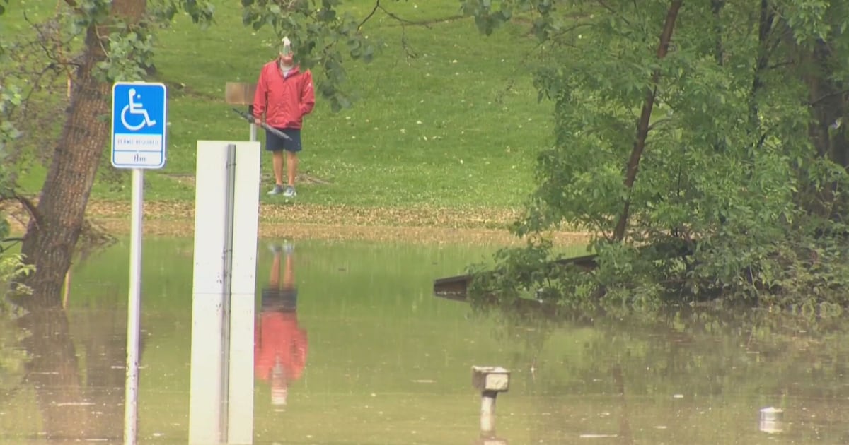 Calgary Flood: Submerged Cars & Traffic Chaos