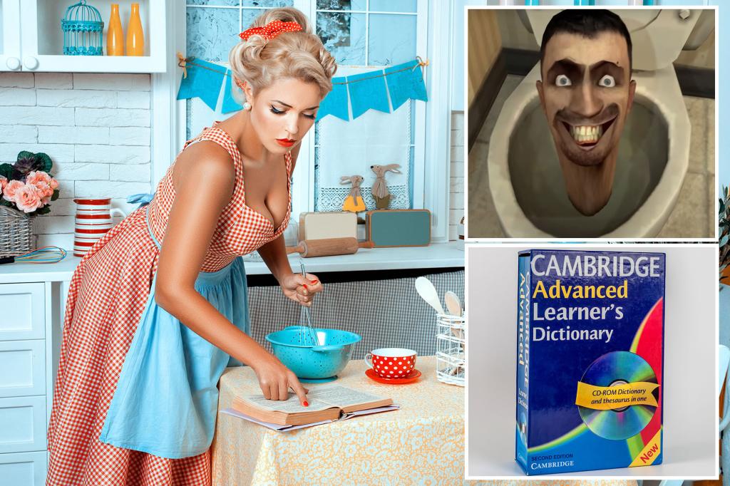 Cambridge Dictionary Adds 