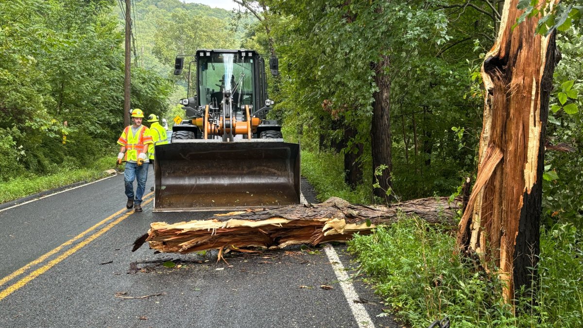 Connecticut Storm: Fallen Trees, Widespread Power Outages