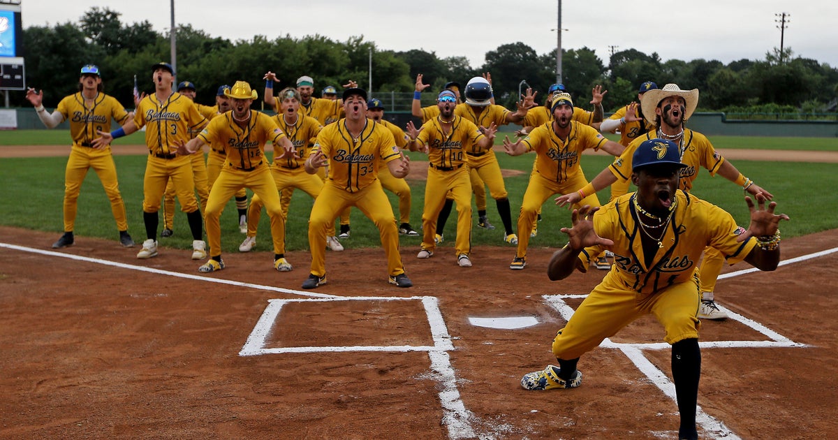  Expect The Unexpected:  The Savannah Bananas Aren't Your Typical Baseball Team.  They're Known For Their Elaborate And Often Hilarious Routines, Player Interactions With Fans, And Unpredictable Moments Throughout The Game. Be Prepared For Surprises!