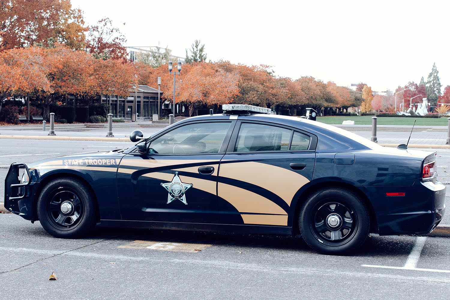 Fatal Crash: 33-Year-Old Woman Kills 4