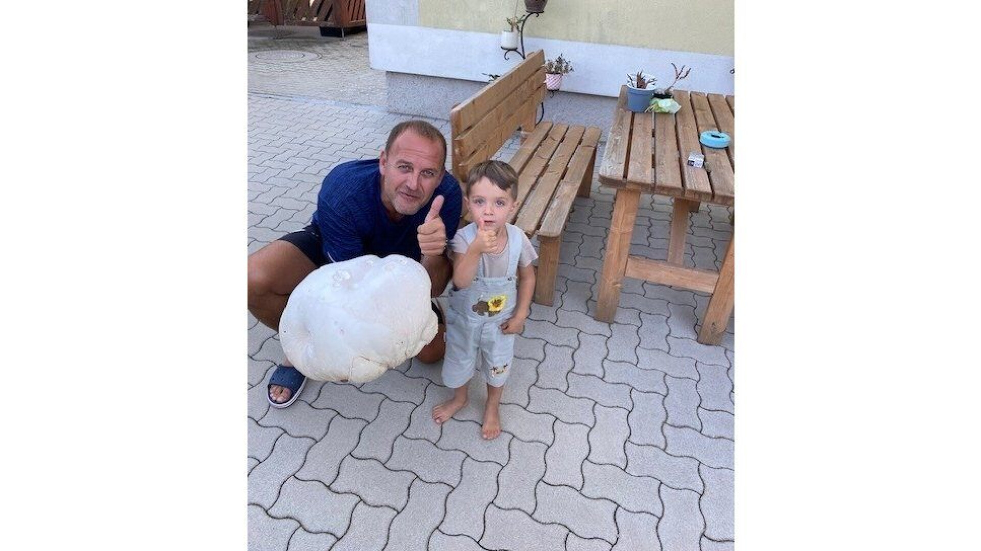 Giant Puffball Found Near Wiener Neustadt