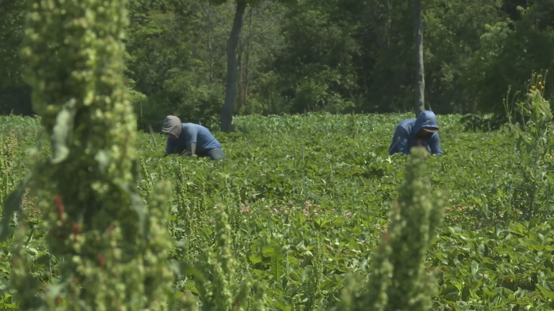 Government Policies Threaten Migrant Workers