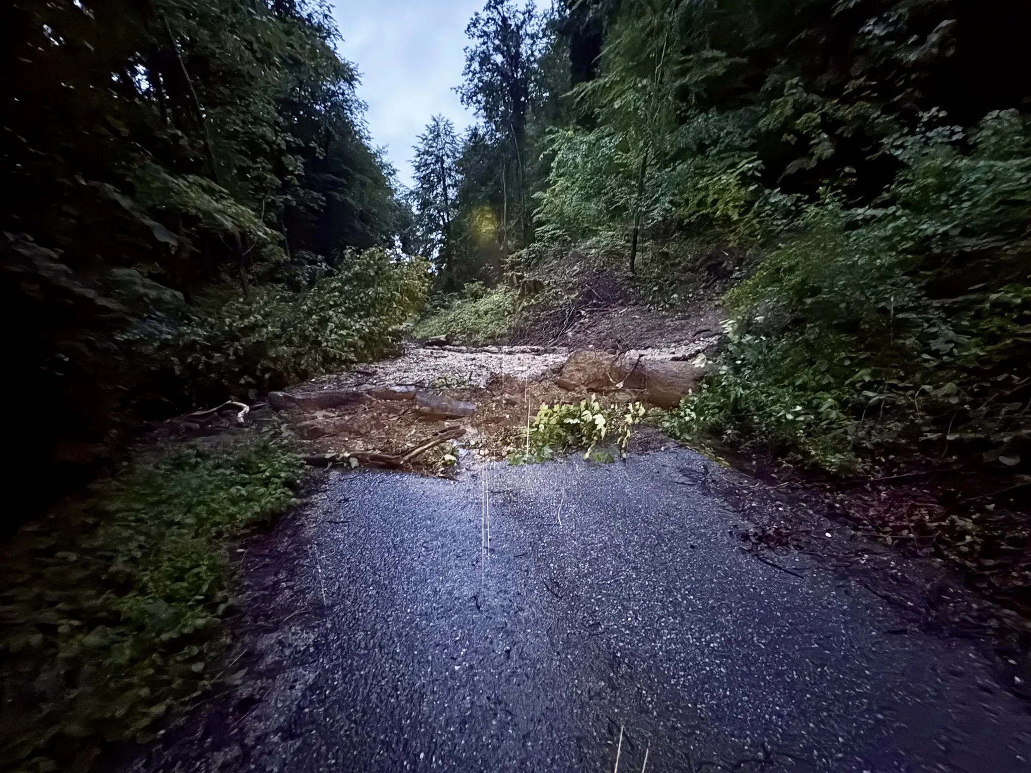 Landslide Roseneggerstraße: Hours-Long Firefighter Response