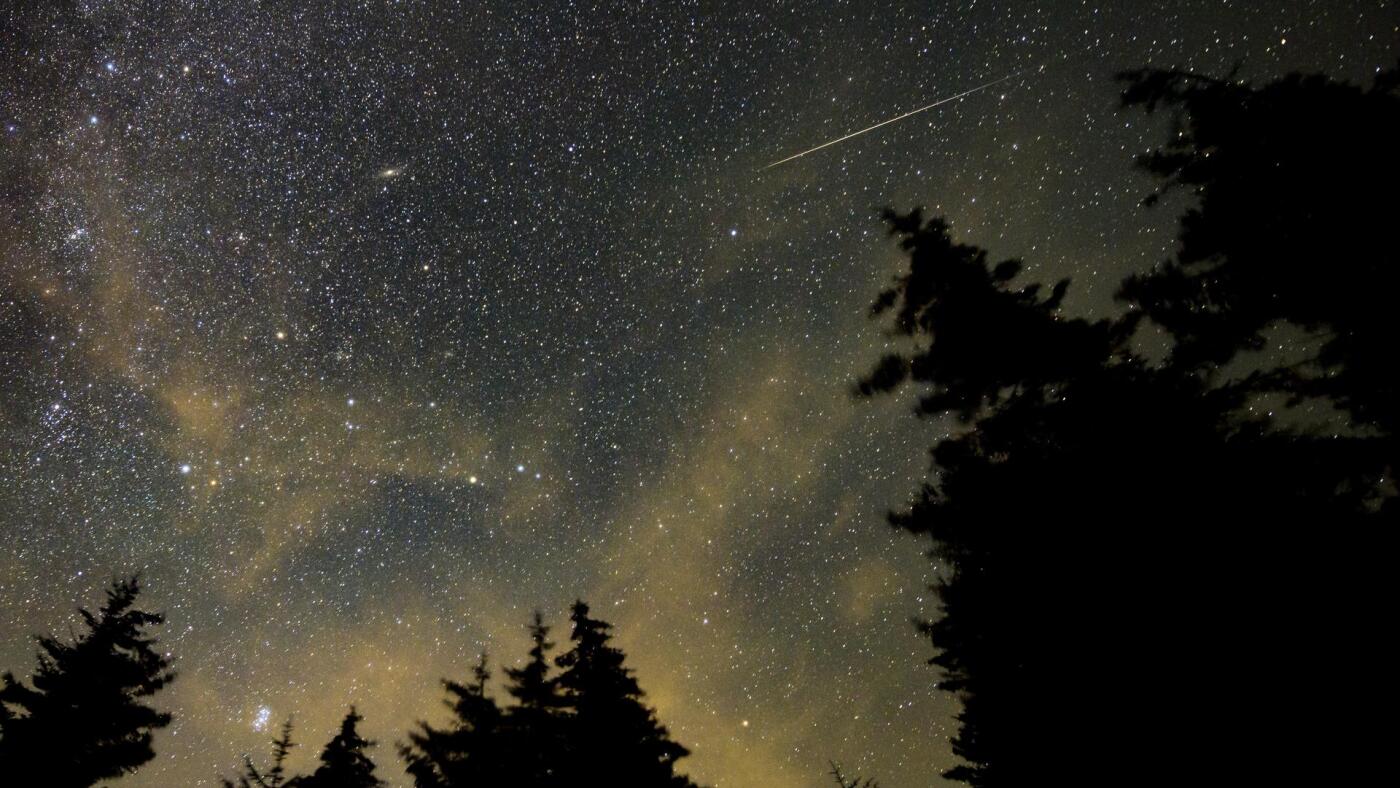 Meteor Shower This Week: Don't Miss Out!