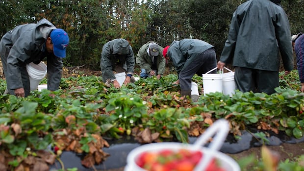 Migrant Worker Slams Housing Cost Hike