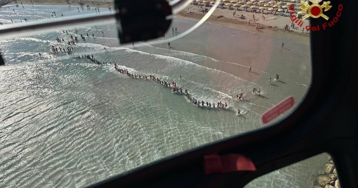 Missing Child Jesolo: Human Chain Search