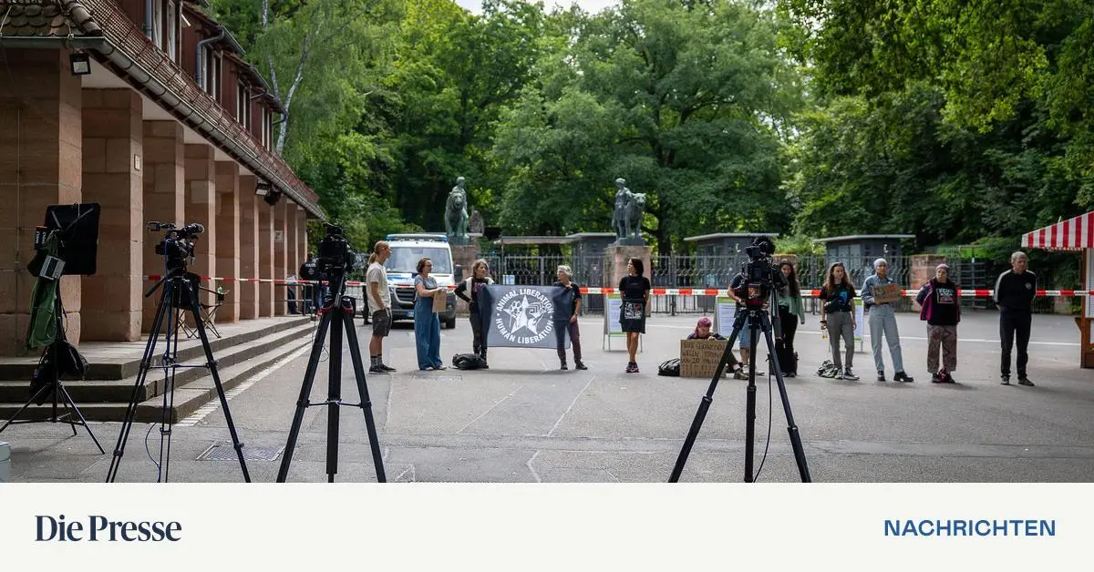 Nuremberg Zoo Euthanizes Twelve Baboons
