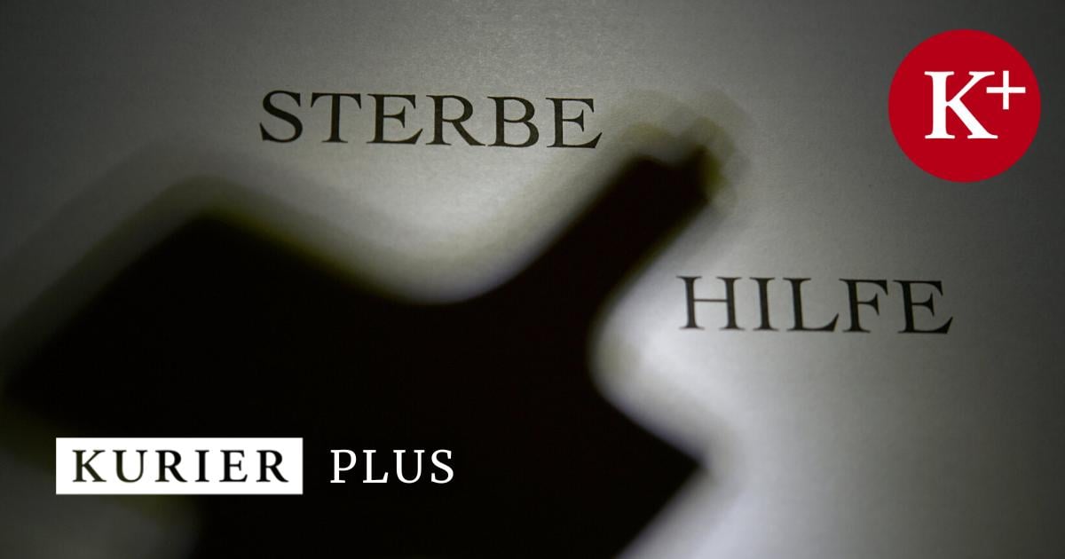 Promi-Winzer In U-Haft: A Murder Mystery