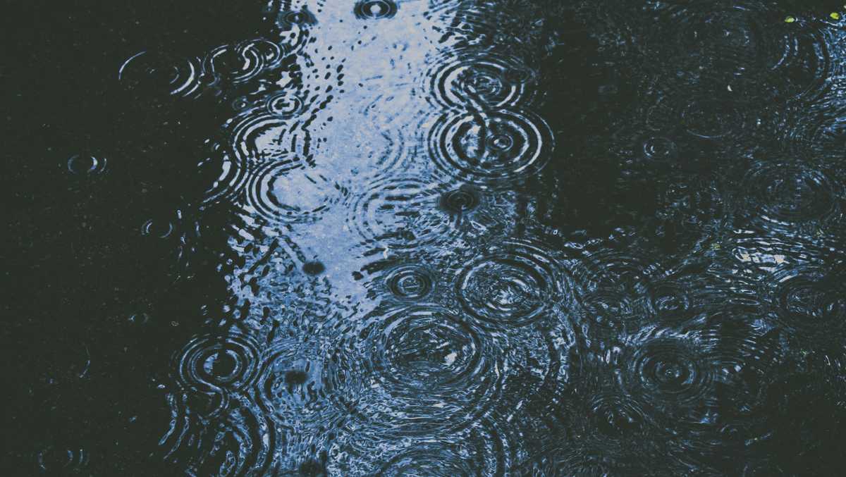 Rainy Week Ahead: Prepare For The Downpour