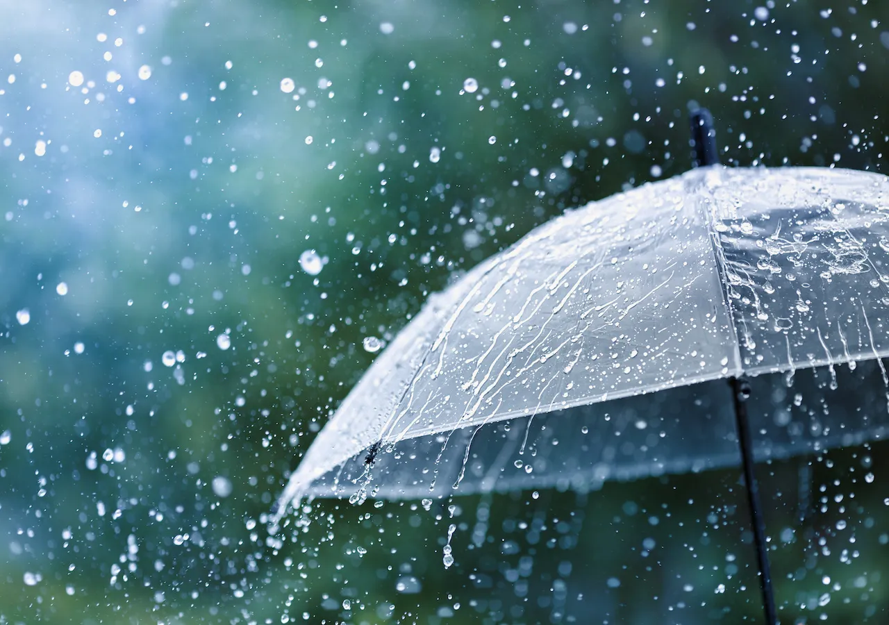 Southern Ontario: 60mm Downpour Possible