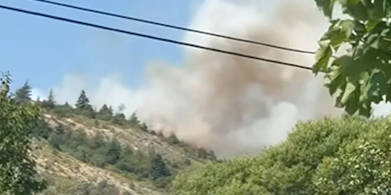 Spaniard's Bay Wildfire: Current Situation & Updates