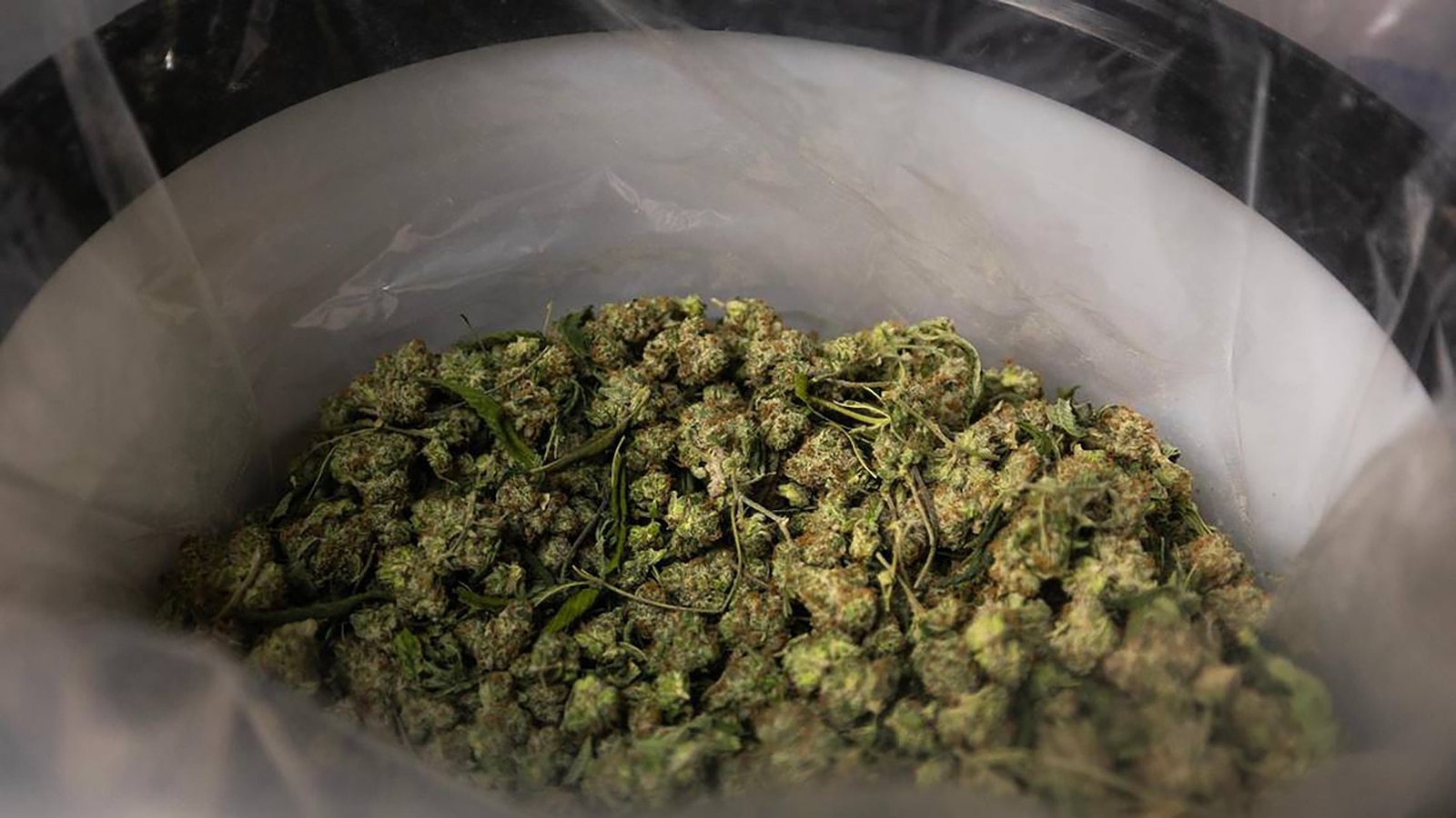 Trump Considers Marijuana Reclassification