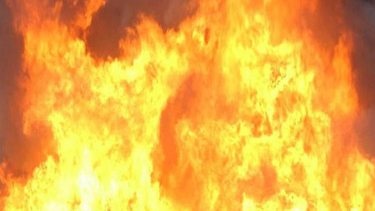 Woman, 2 Dogs Dead: NH House Fire Explosion